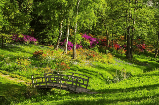 Resilient Plants And Flowers For Landscape