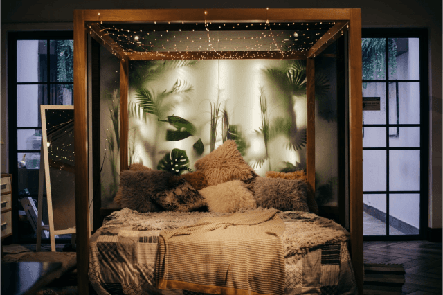 Indoor Plants Help Sleep Better