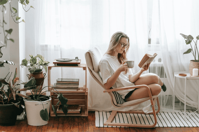 Use Indoor Plant